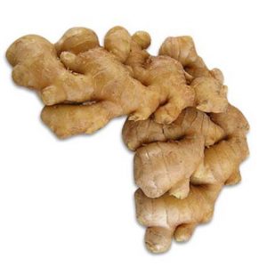 IMBIR CLARKA - ZINGIBER CLARKEII